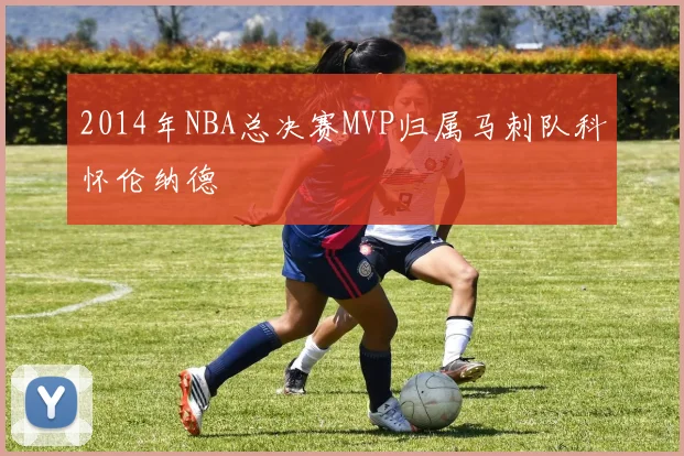 2014年NBA总决赛MVP归属马刺队科怀伦纳德