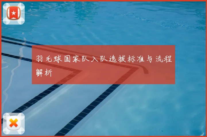 羽毛球国家队入队选拔标准与流程解析