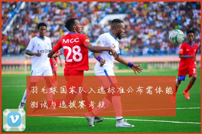 羽毛球国家队入选标准公布需体能测试与选拔赛考核