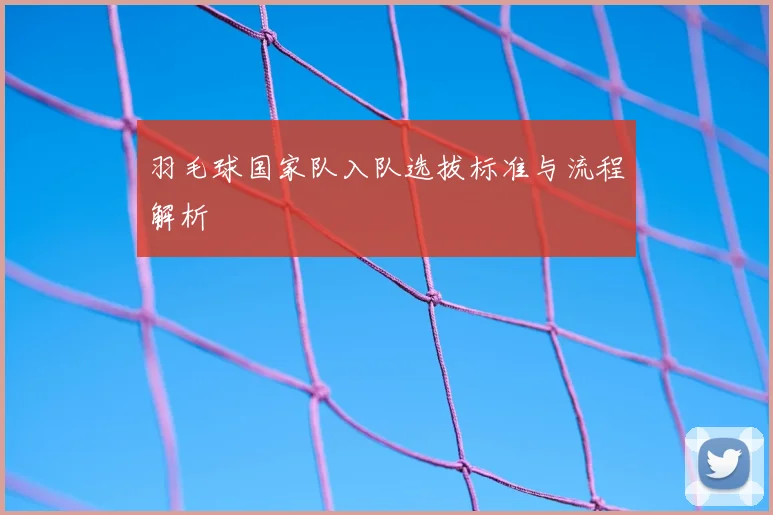 羽毛球国家队入队选拔标准与流程解析