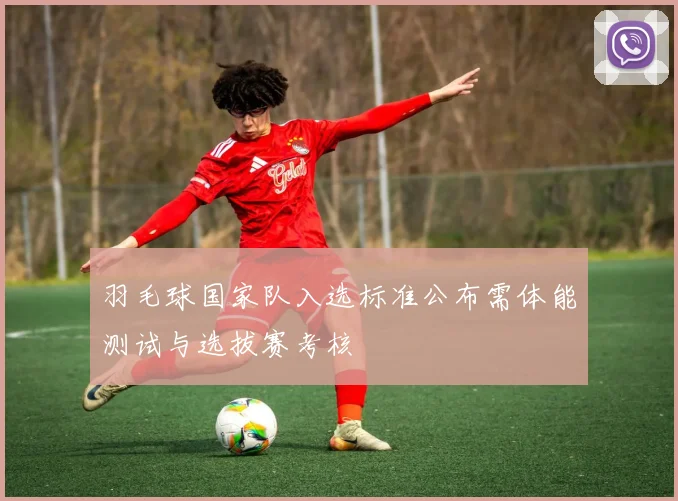羽毛球国家队入选标准公布需体能测试与选拔赛考核