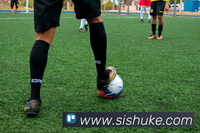 bsports官方登录入口服务体系